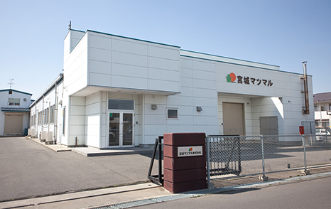 宮城マツマル