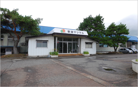 新潟マツマル